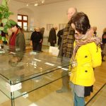 DSC06574.jpg