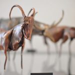DSC_5614.JPG