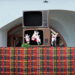 IMG_4575.jpg